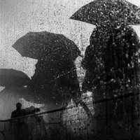 A Day In The Rain