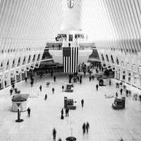 Morning Commute at the Oculus, NYC