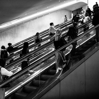 Morning Commute at the Oculus, NYC