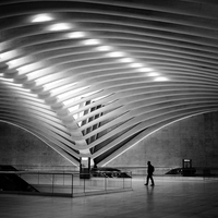 Morning Commute at the Oculus, NYC