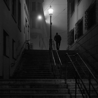 Night Lights