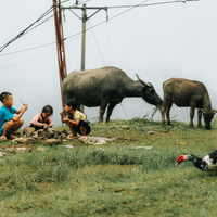 Whispers of Sapa: Childhood in the Heart of Vietnam