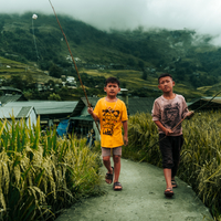 Whispers of Sapa: Childhood in the Heart of Vietnam
