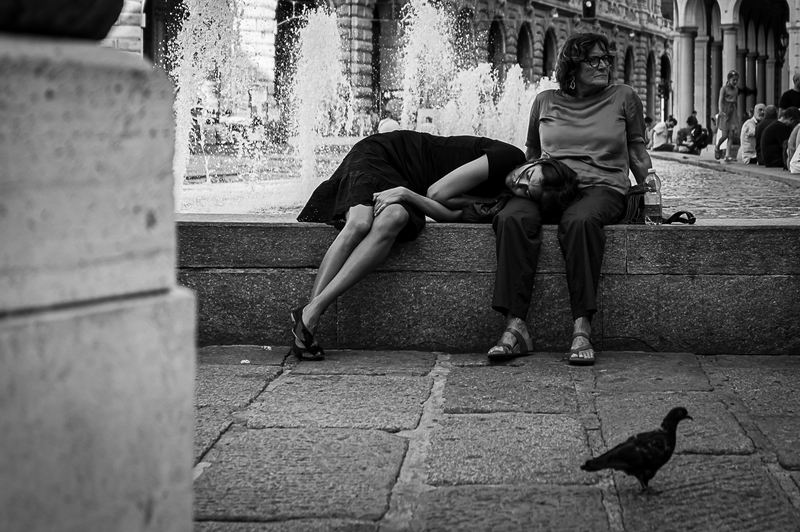 Daydream in Securness While the City Run